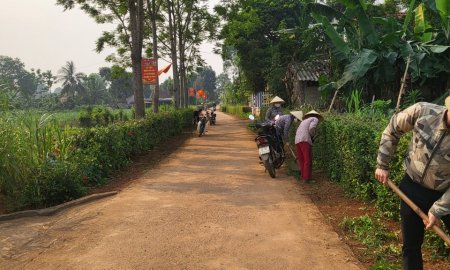 Mô hình trồng hàng rào xanh trên địa bàn xã Lam Sơn